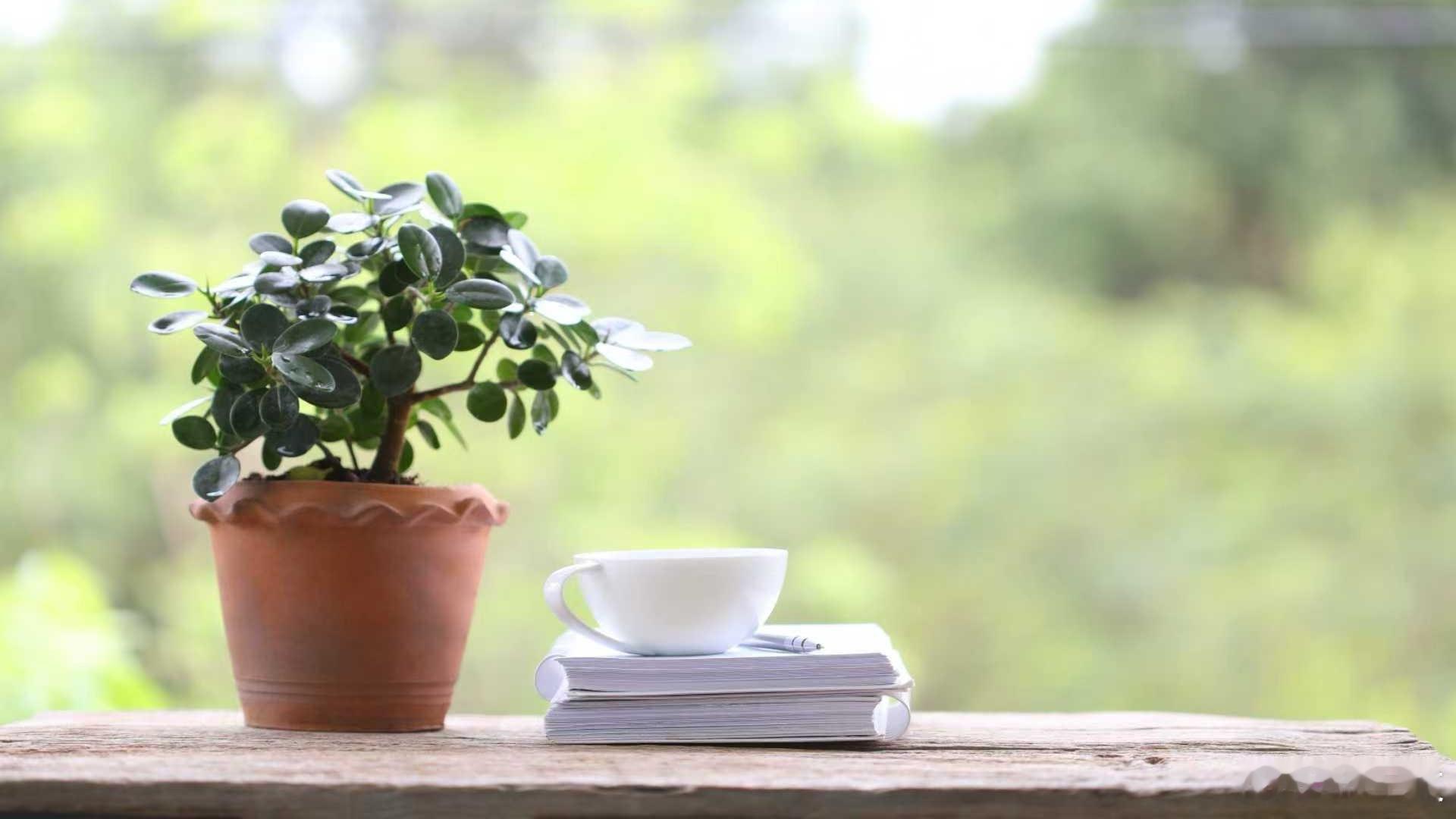 读书让我重新审视内心的力量2025年度书单 做公益久了，愈发觉得内心力量是前行关