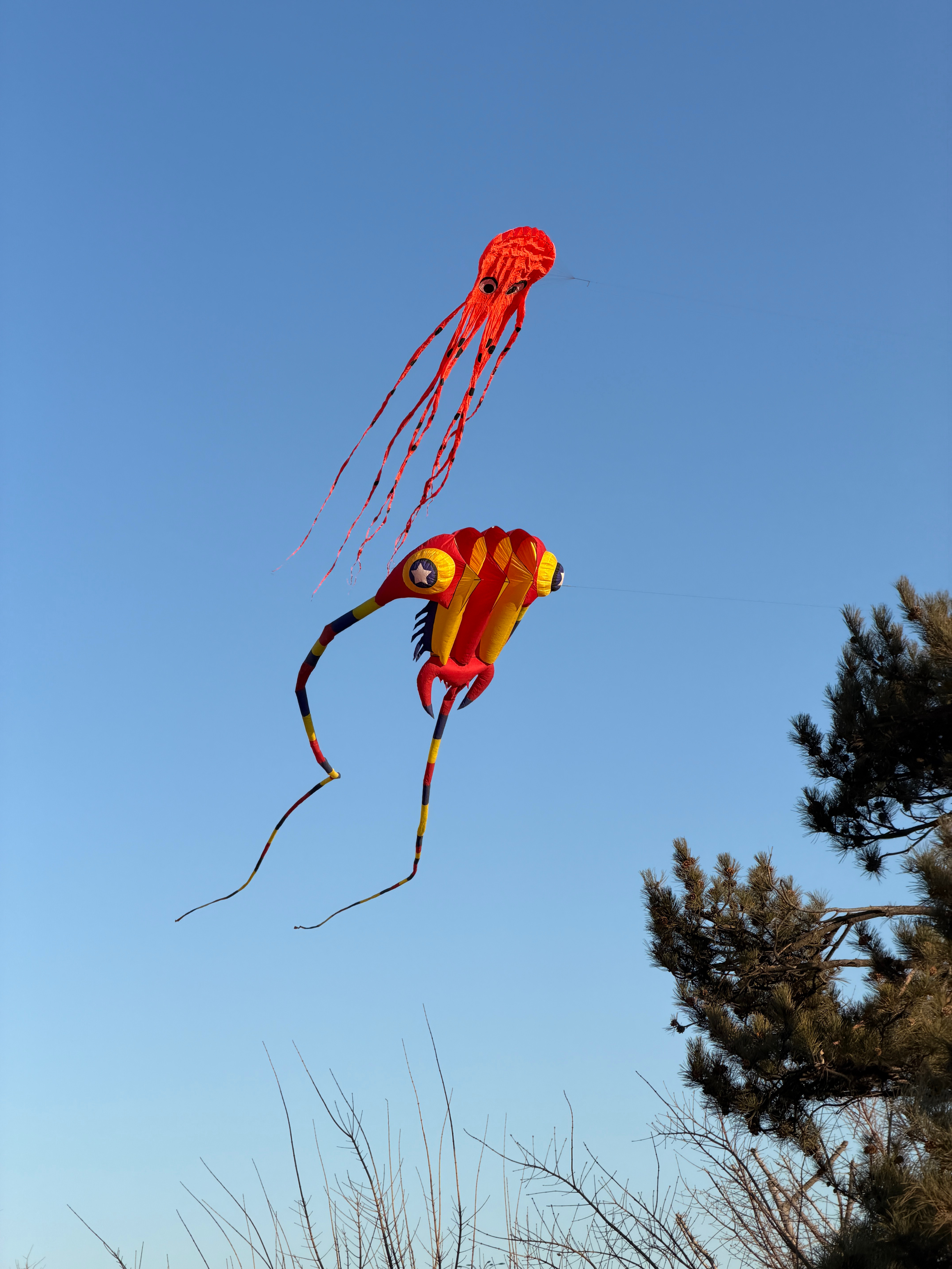 好家伙俺一回去就降温，一溜就升温这几天刷到出广的堵车视频，好可怕希望过几天我去江