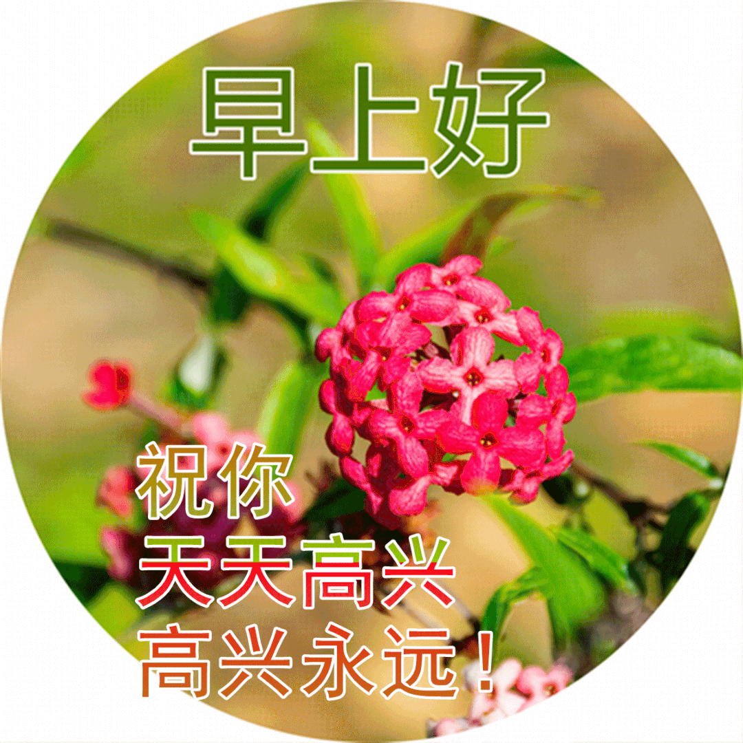 用快乐心情、迎接早上灿烂阳光
用感恩心情、记住最在乎你的人
用崇敬心怀、 记住帮