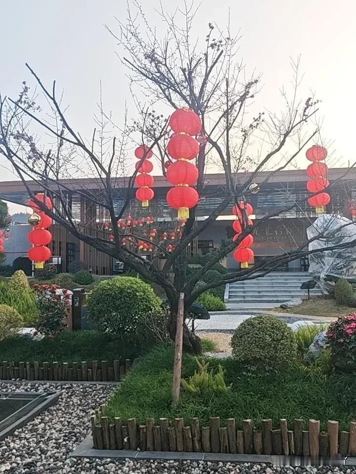 分享一张最近随手拍的照片