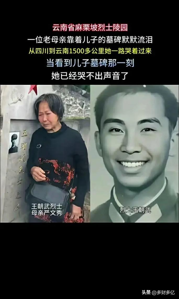 22岁烈士埋骨南疆，老母亲千里扶碑痛哭：娘来不动了
 
严文秀从四川老家千里迢迢