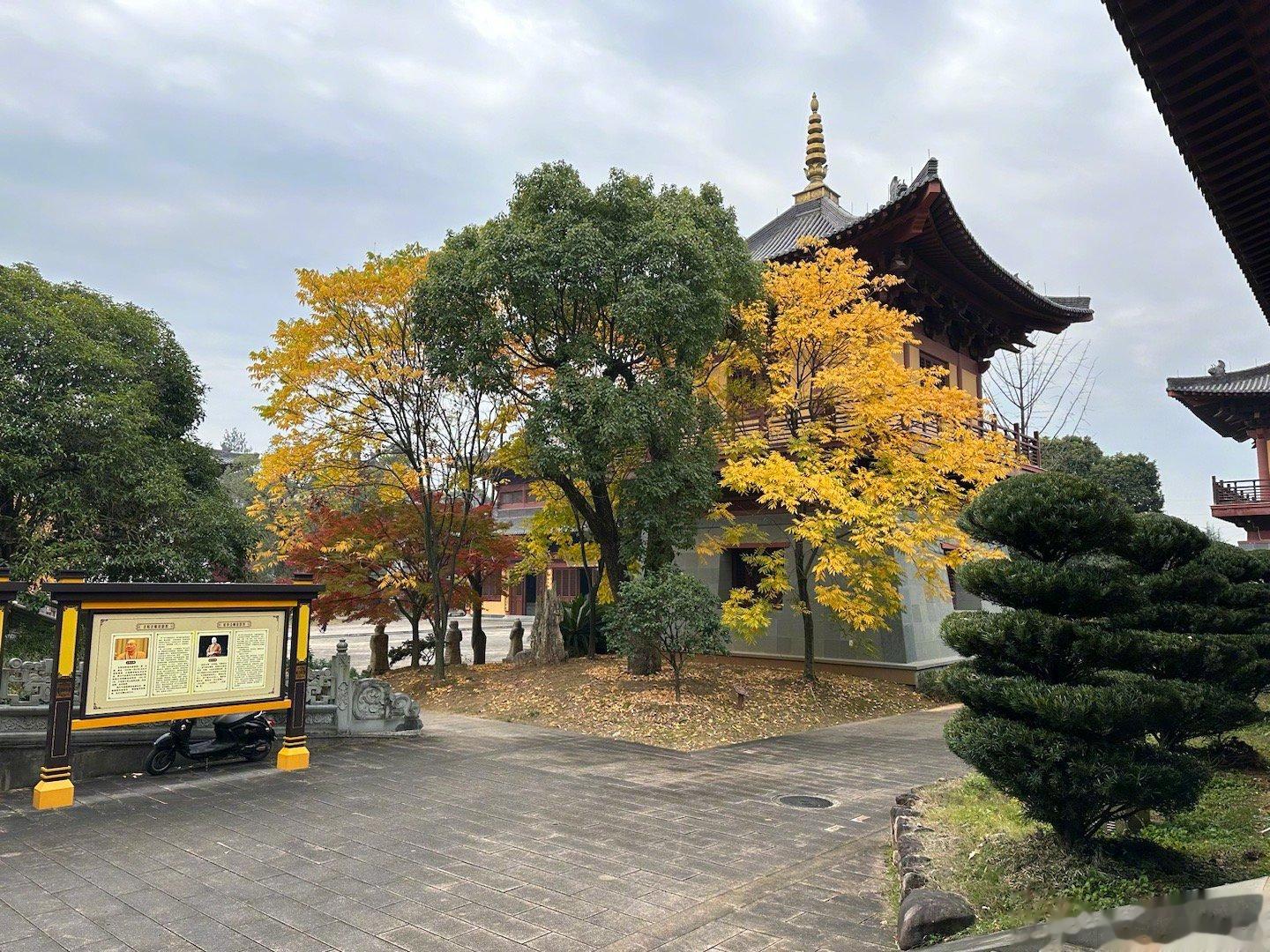 在江边稍微走了走，就被冻到要流鼻涕！今年浙江怎么会这么冷的呢？ ​​​这里明明是