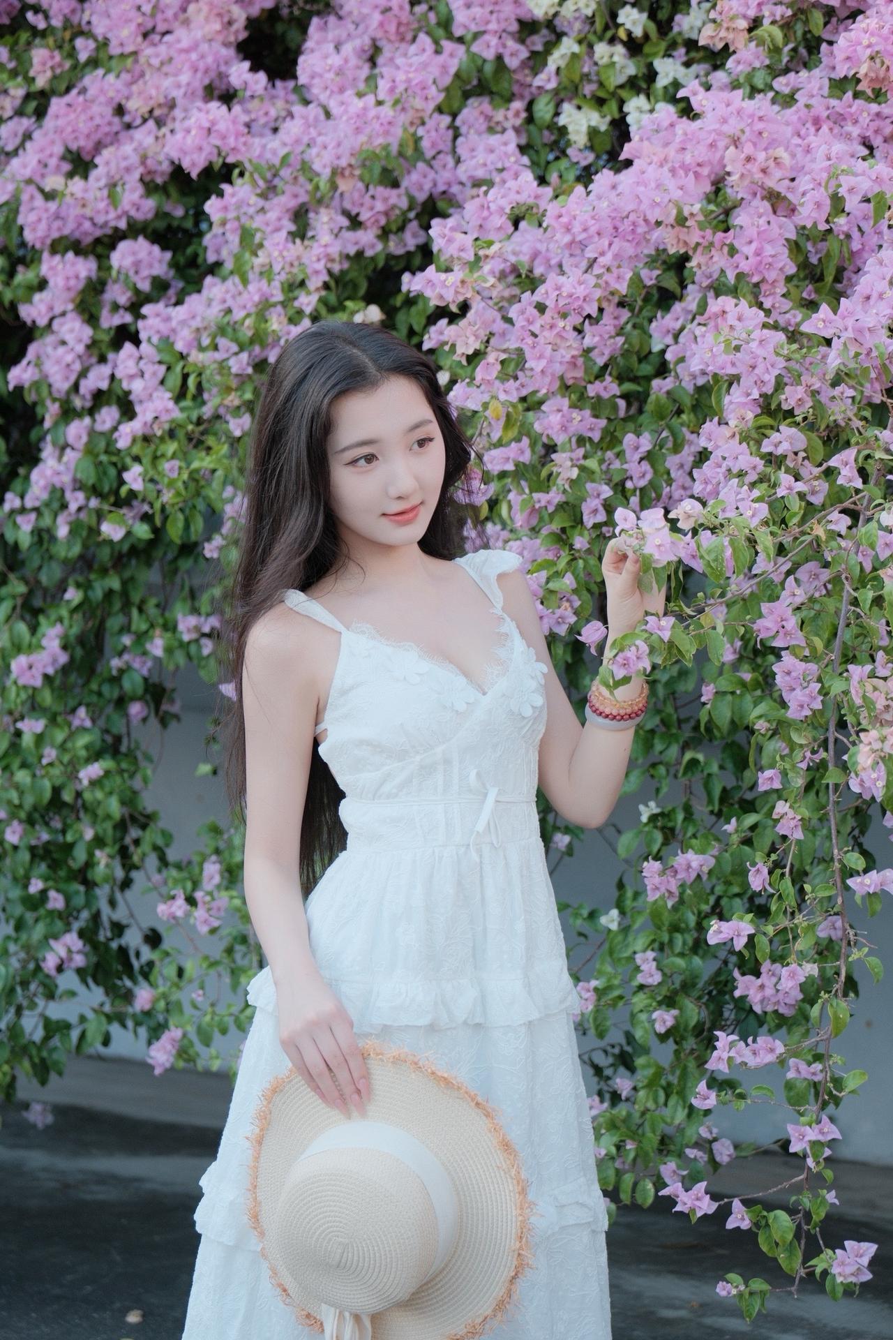 路人视角 深圳约拍 三角梅