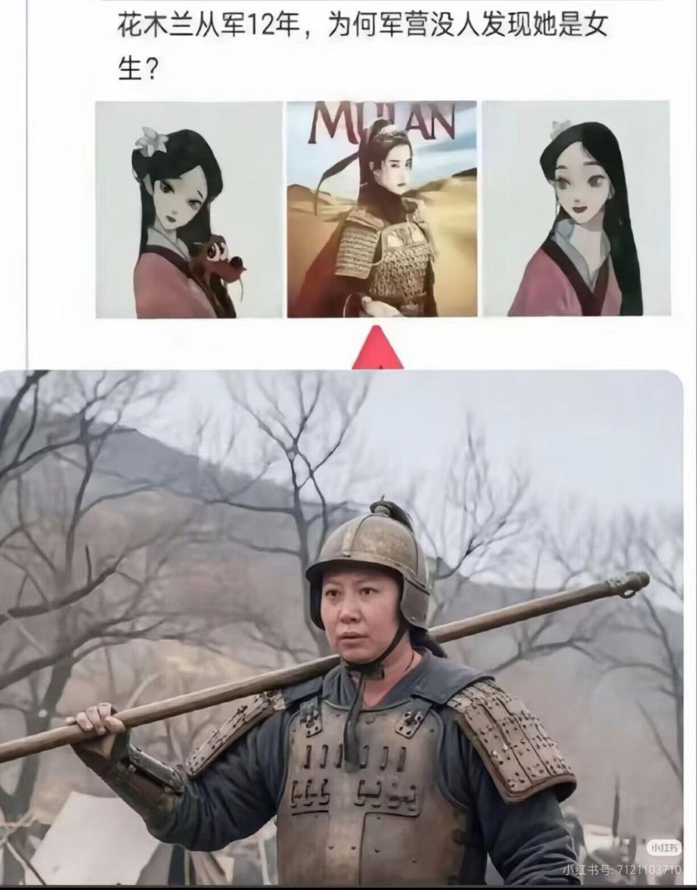 木兰从军强力推荐某被封杀的东北网红出演，
因为其他的女明星代父从军都不合理，但某