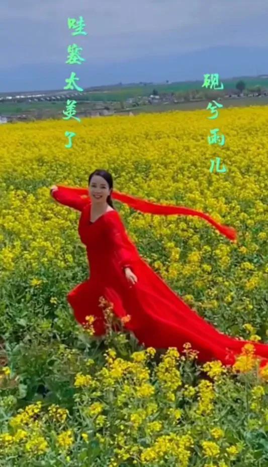 《七绝:舞花间》文/魅力鹤城

翩翩少女舞花丛，摆动腰肢杨柳风。
云袖霞裳轻似燕