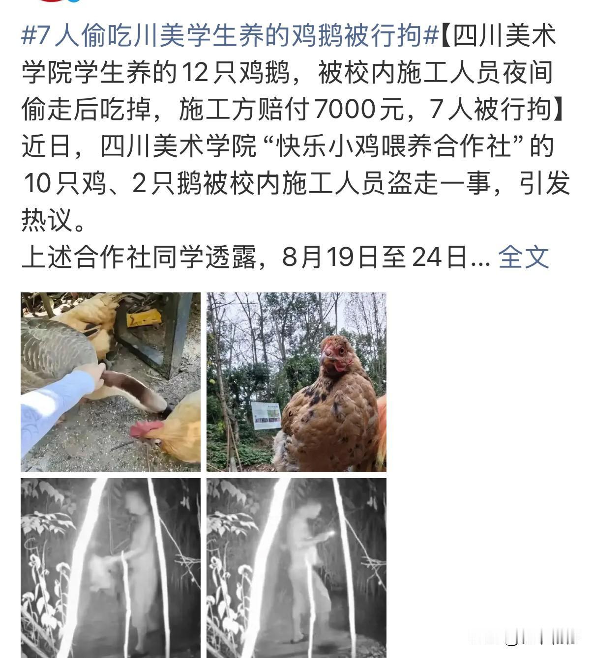 川美艺术项目鸡鹅深夜被盗：7人被刑拘，赔付7000元学生！

四川美术学院实验艺