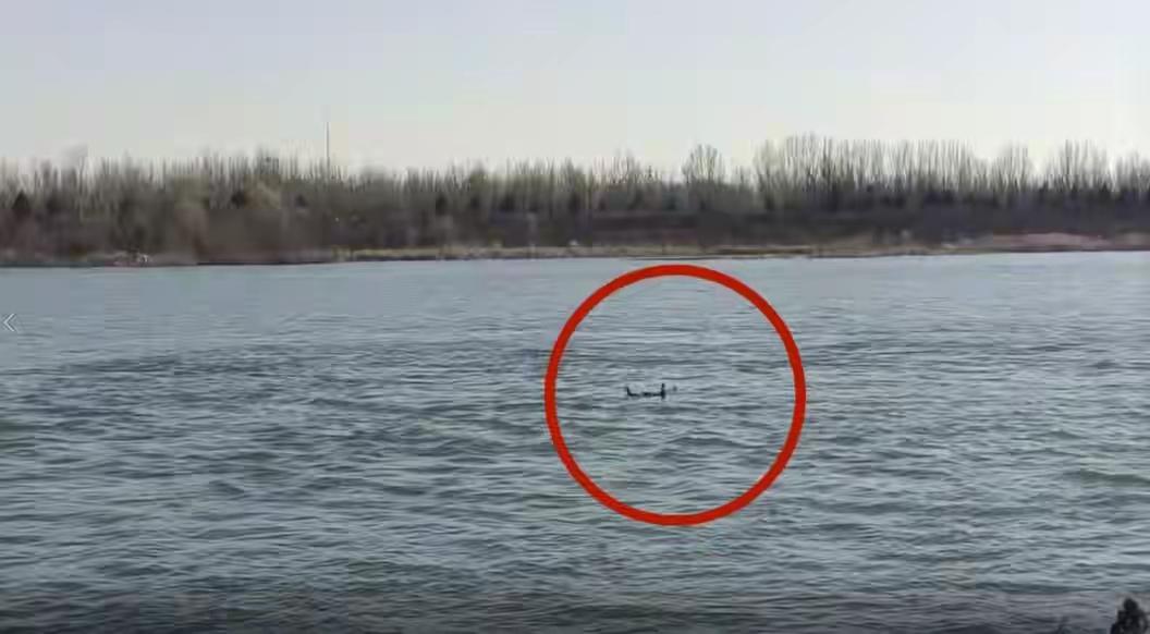 羽绒服真是救命神器啊！11月25日中午，怀柔区潮白河有个女子掉进了超5米深的冰河