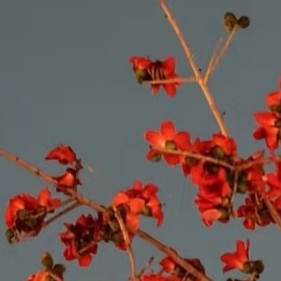 每日一善 💫阳光信用  💫每日一善       人生是一种无法抗拒的前进。自