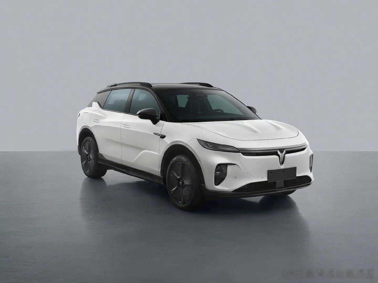 岚图将推出纯电SUV——知音。我想起了魏牌有款车叫高山，这叫高山流水遇知音啊。从