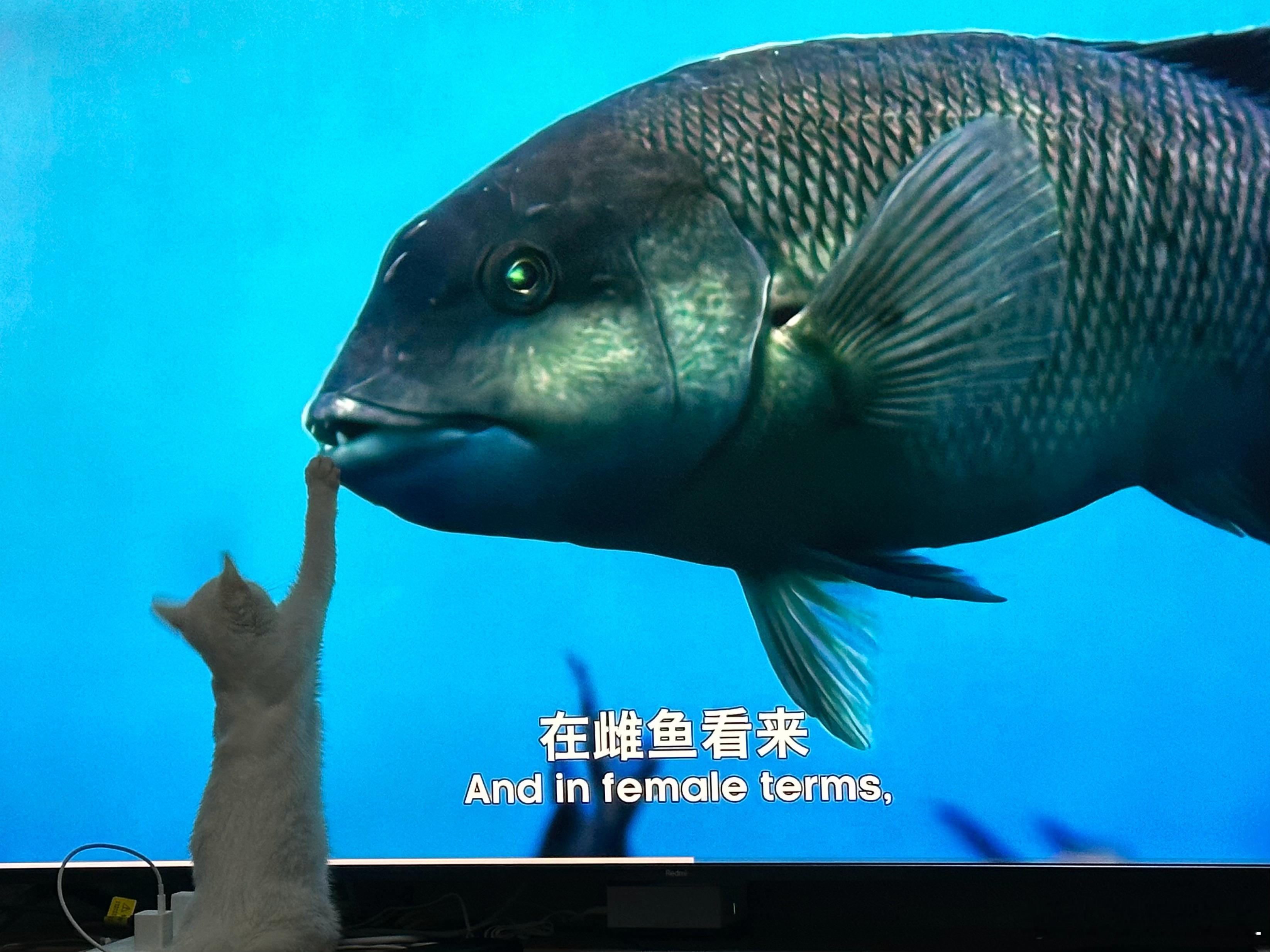 世界上哪个国家的汽车工业即便完全消失也不会对人类造成任何影响？我投髪国车一票。 