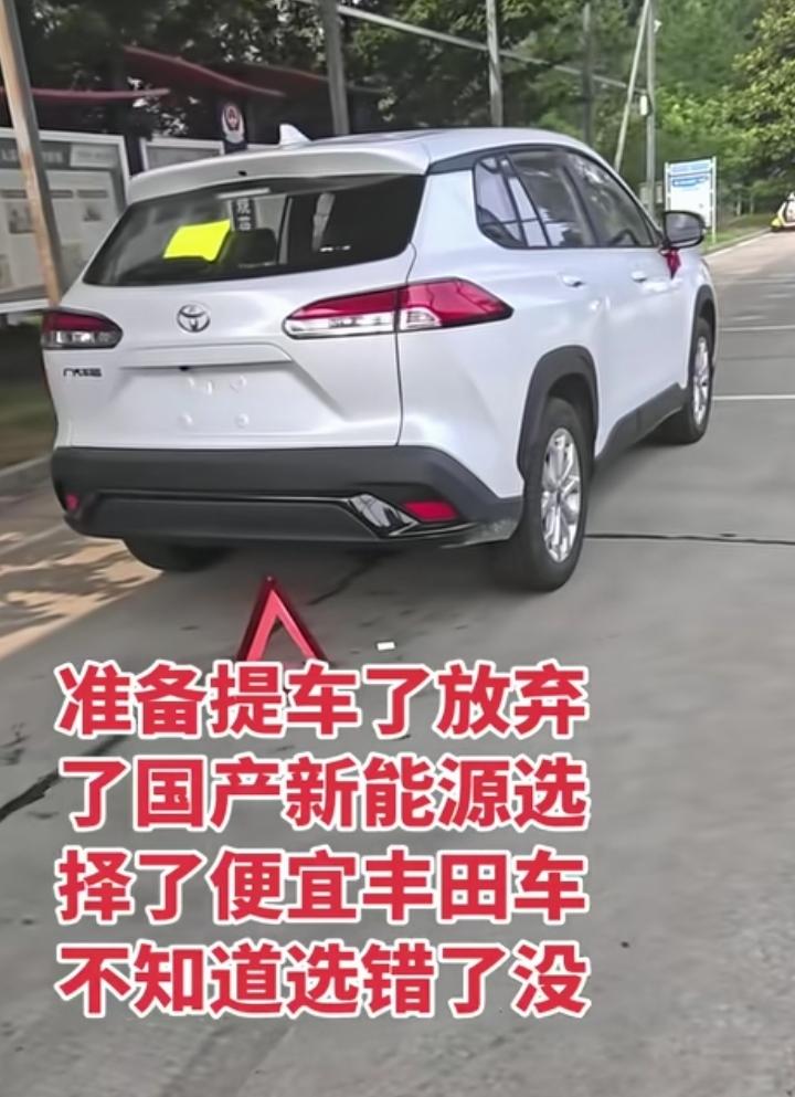 买车前，很多人叫我买电动汽车，说电动汽车是未来趋势，看了几款电车还不错，因为没开