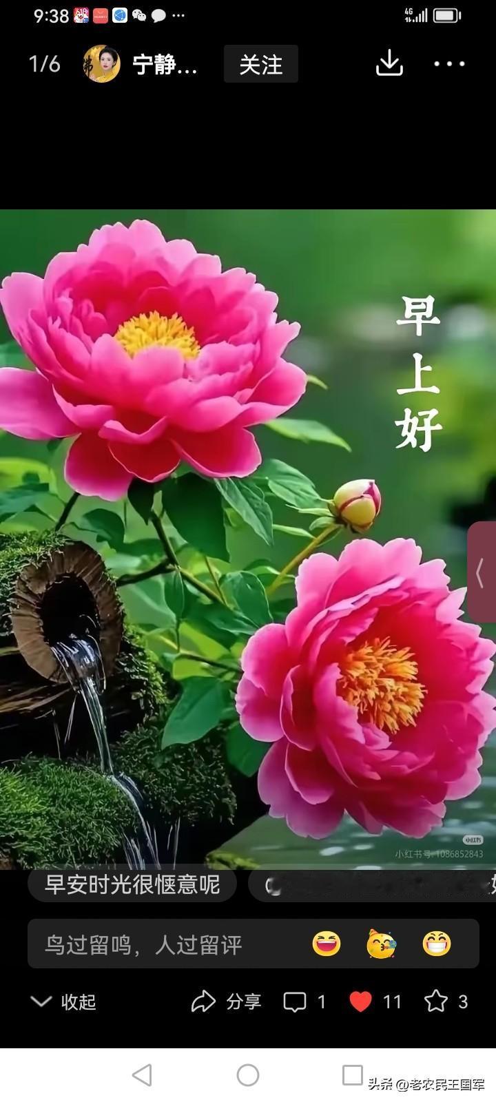 2026 南阳 6 所初中中考完整数据（官方喜报、家长圈权威汇总，参考人数为本届
