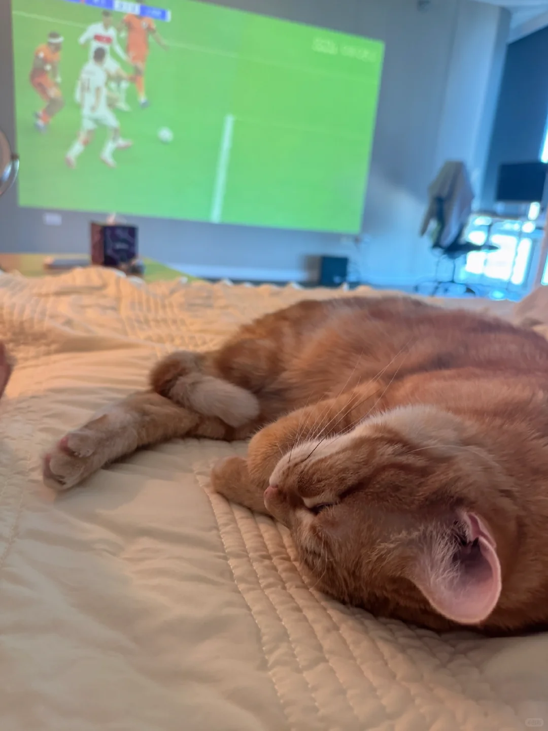 看球搭子熬不住了