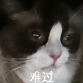就算告老还乡了也得对标甲方的工作时间，周一也是如此的让人痛苦啊啊啊啊额呃呃呃呃呃