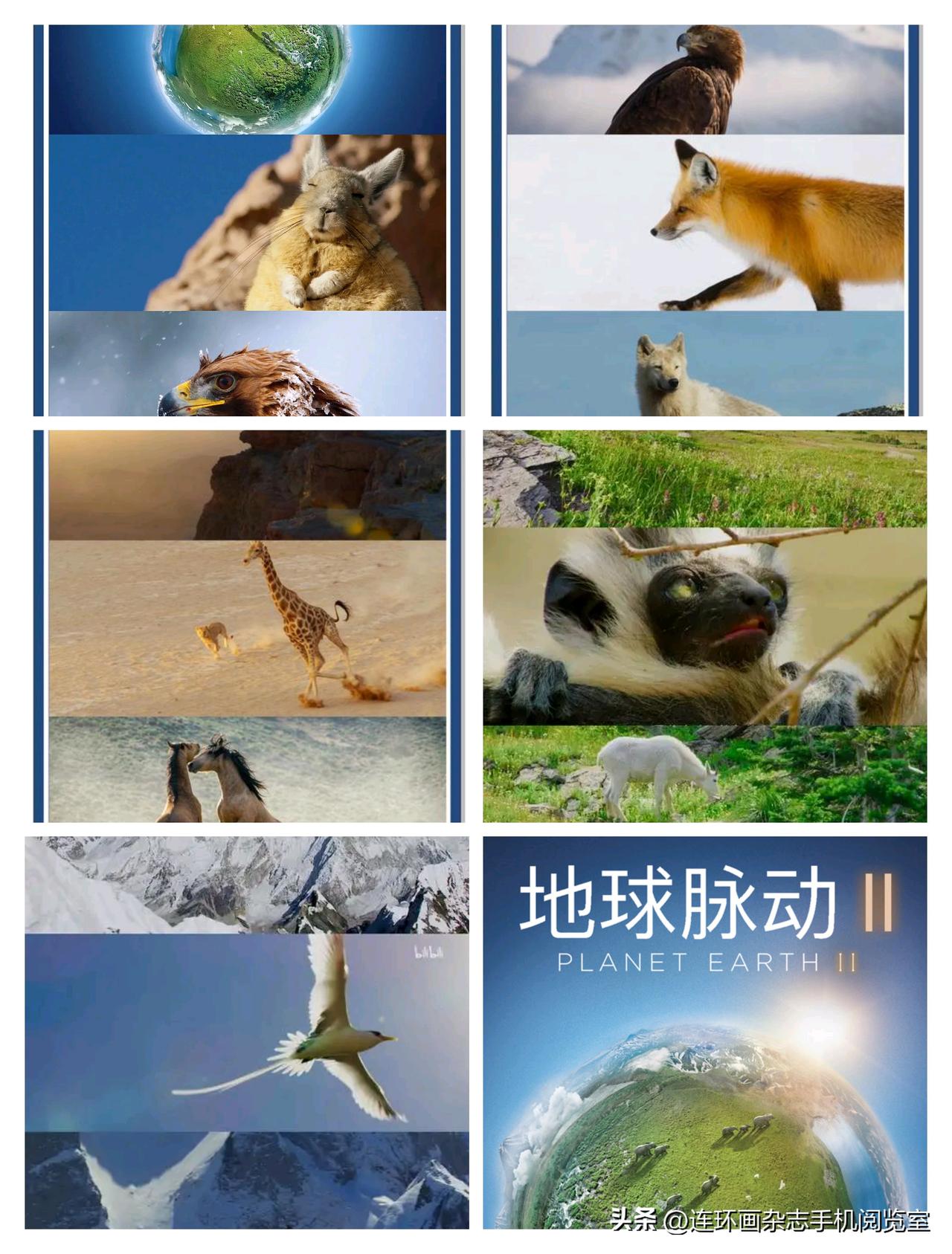微杂志〔《地球脉动2》报刊栏拍页〔参考消息、中国国家地理〕〕