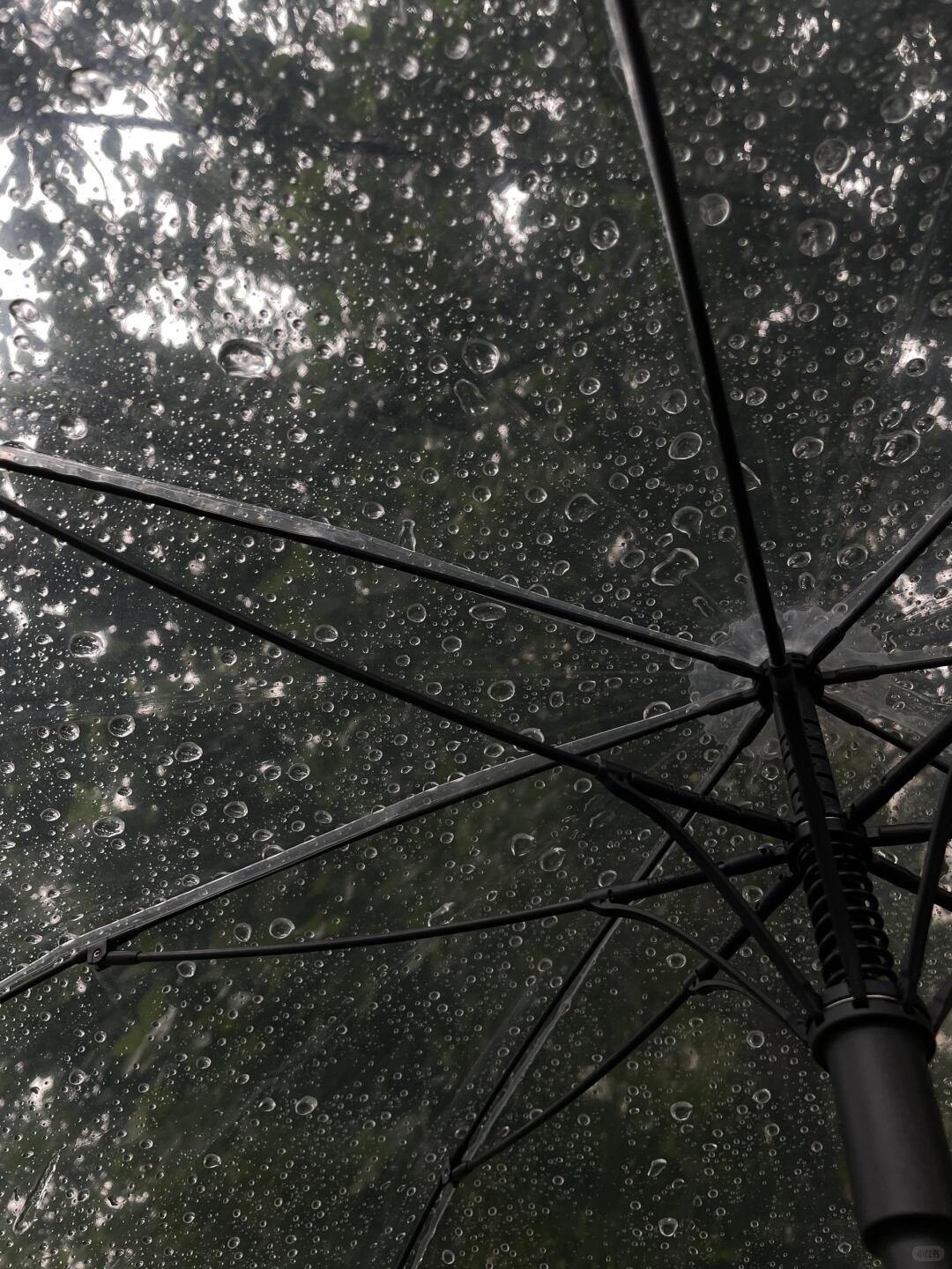 我们被时间捡起来被阳光剖开过去也被雨洗掉痕迹丨叶青《被动》摄影Hush
