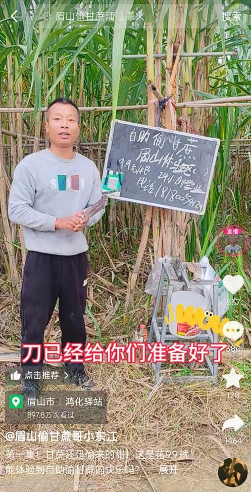 甘蔗哥这波流量，甜里掺着点酸
继“鸡排哥”之后，又一个“哥”凭着接地气的操作爆火