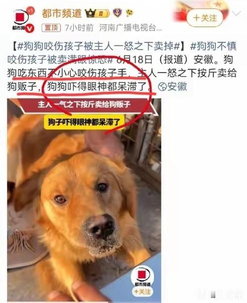 现在有些媒体，吃相确实太难看了！
对于狗咬了小孩，不去关心受伤的孩子，又是忍着疼