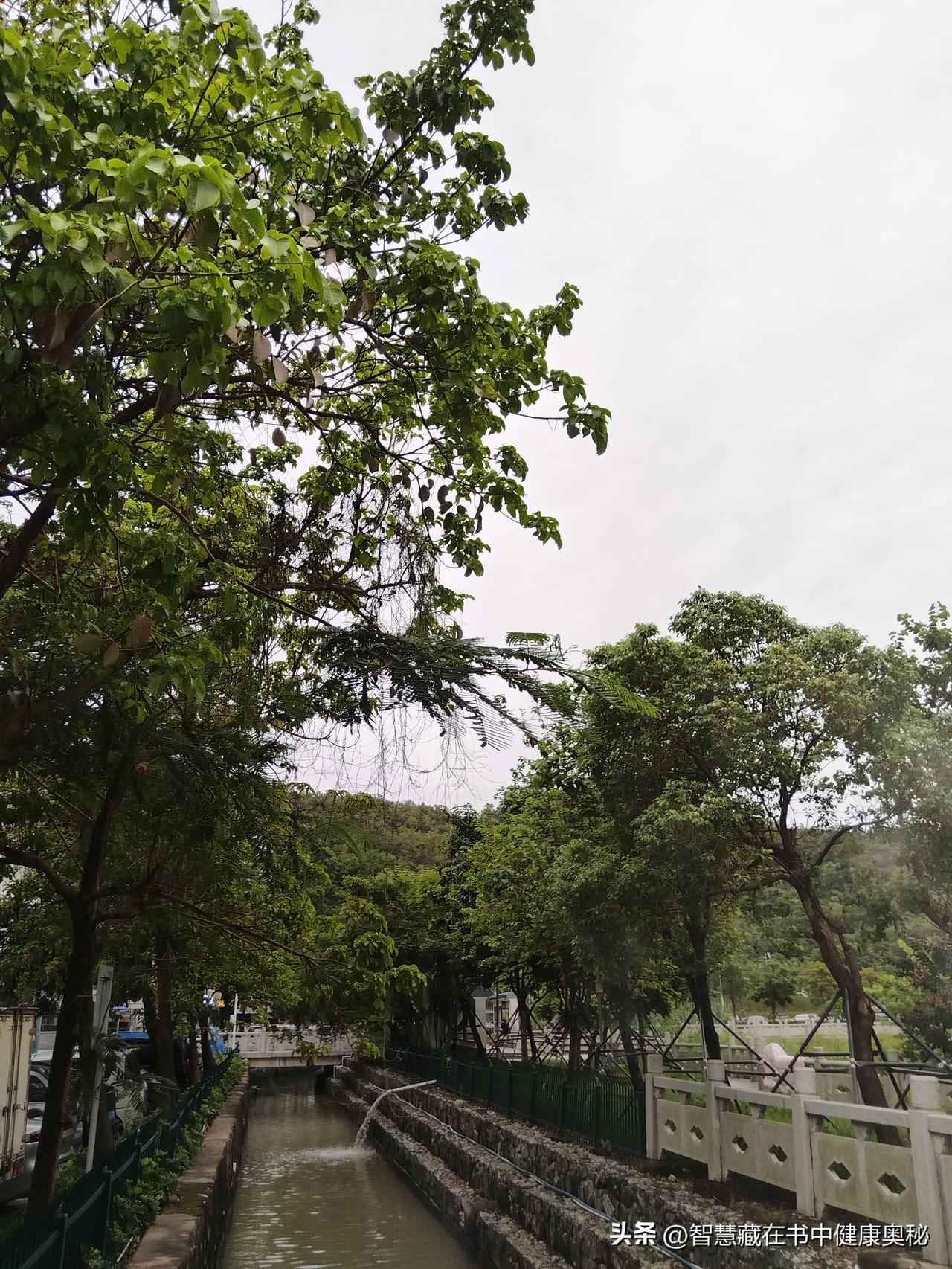 沿着小道继续前行，脚下的石板路还带着些许雨后的湿润。路边的花朵上挂着晶莹的水珠，