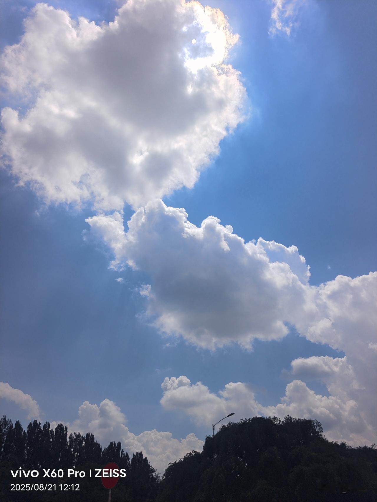 王爱梅与其四位妹妹，生于一个极度贫困的家庭。常言道：“家贫出孝女。”这姊妹五人果