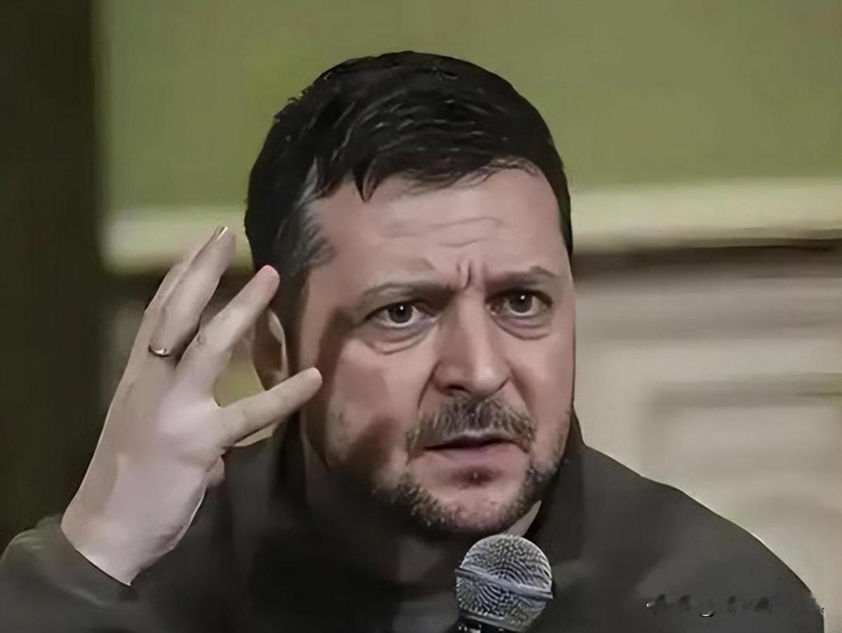 乌克兰正式递交了！
4月27日，乌克兰总统泽连斯基向最高拉达正式递交法案，决意将