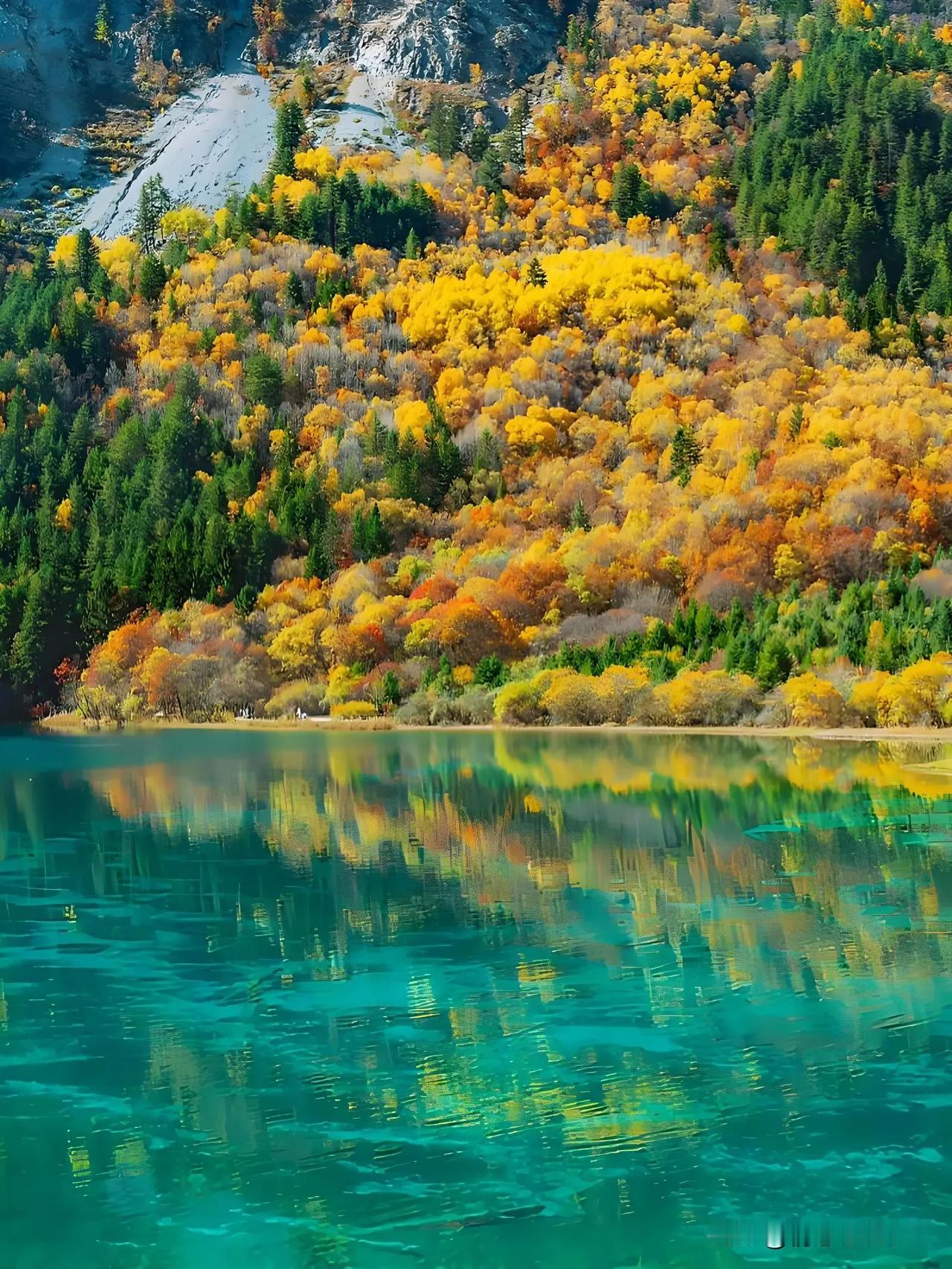 现在的自媒体平台，也不知道谁给他们的权利。动不动就是各种违规！

前几天，我写了