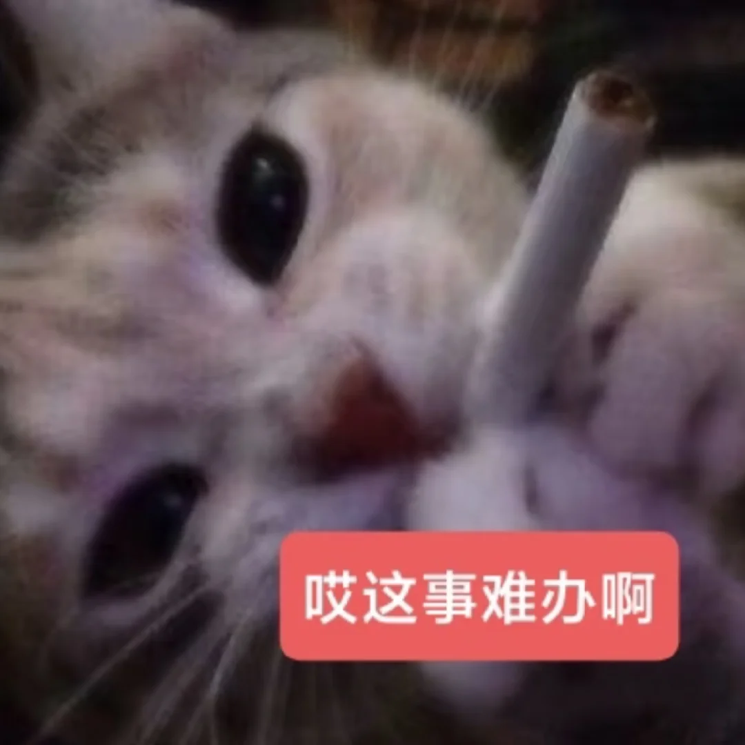 关于英语语法你需要知道的一切