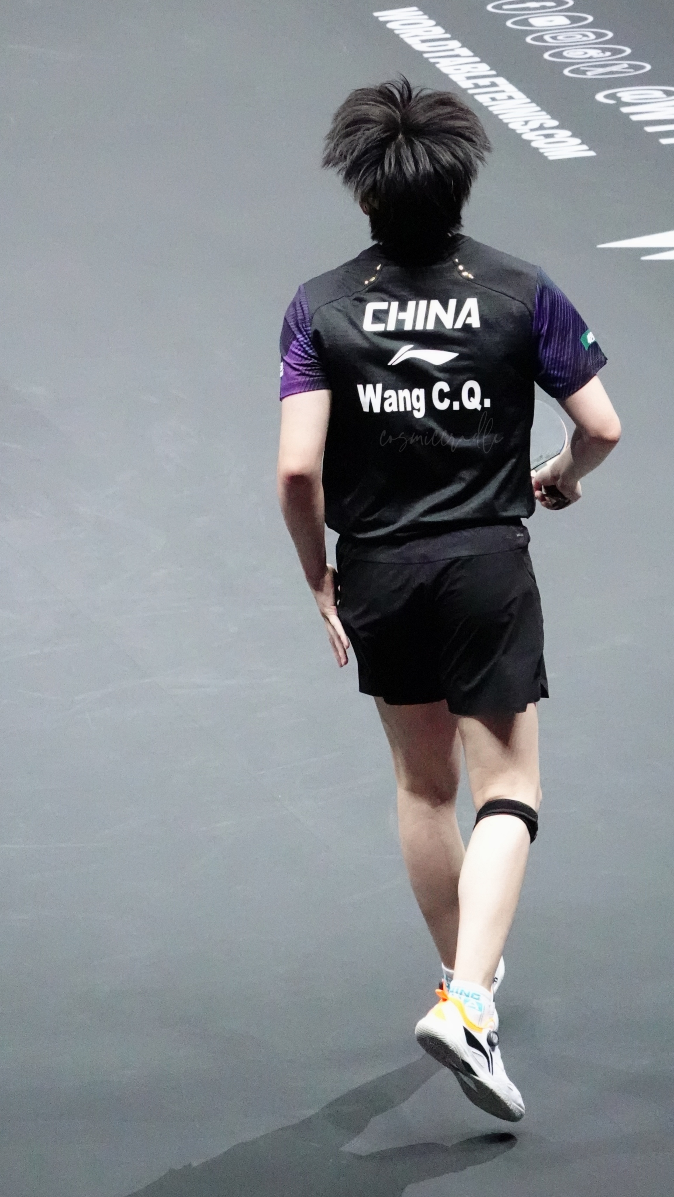 狮友会王楚钦 🦁王楚钦加油 🦁wtt重庆冠军赛2026 🦁王楚钦vs松岛辉