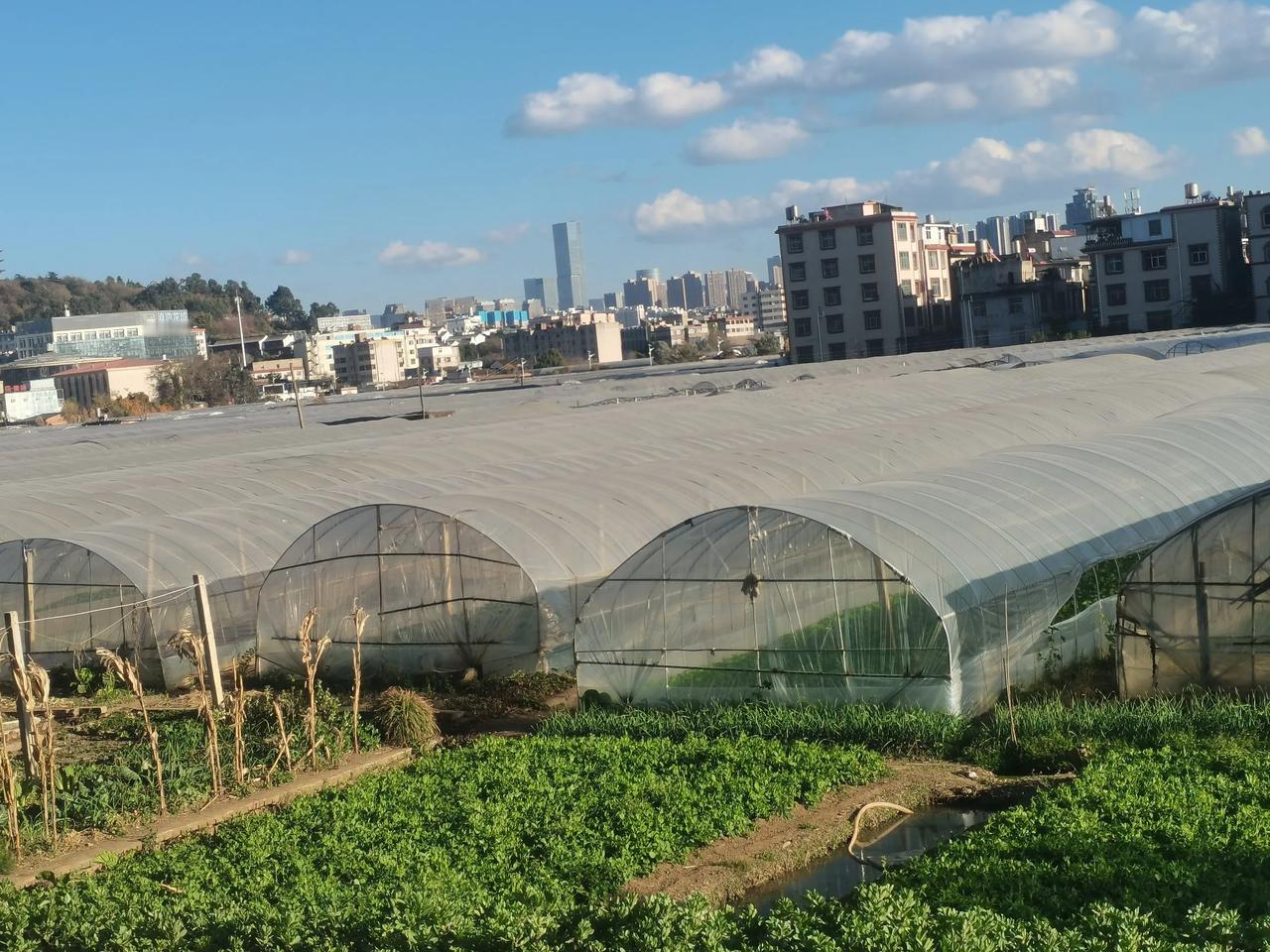 农田与高楼与山顶塔同框
这就是我们的生活写照
我们大家从农村来到城市
在城市里工