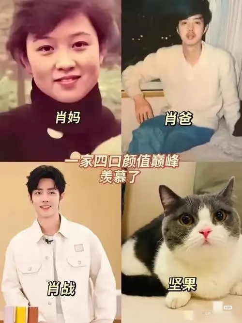 孝顺善良的好孩子，爸妈教育得好，孩子又争气，人生赢家啊肖战在很多很多爱的家庭里长