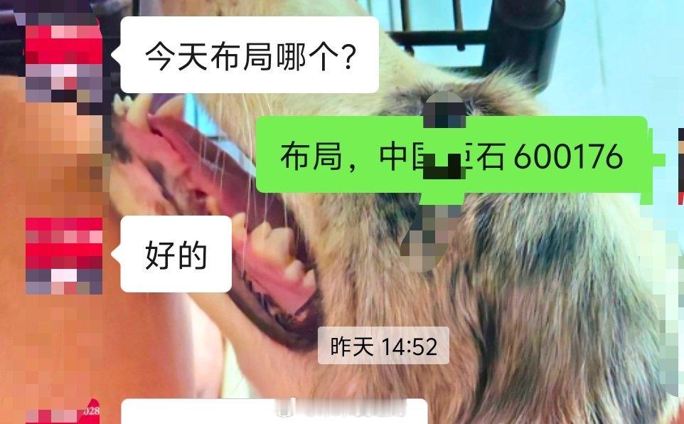 板板香， 