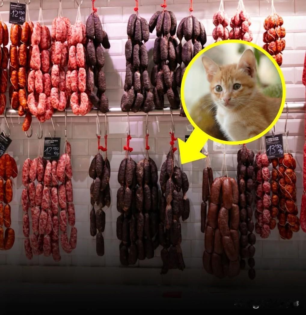 2025年，阿根廷萨尔塔的司法部门查封了位于罗德里戈·佩雷拉街的一家非法经营的肉