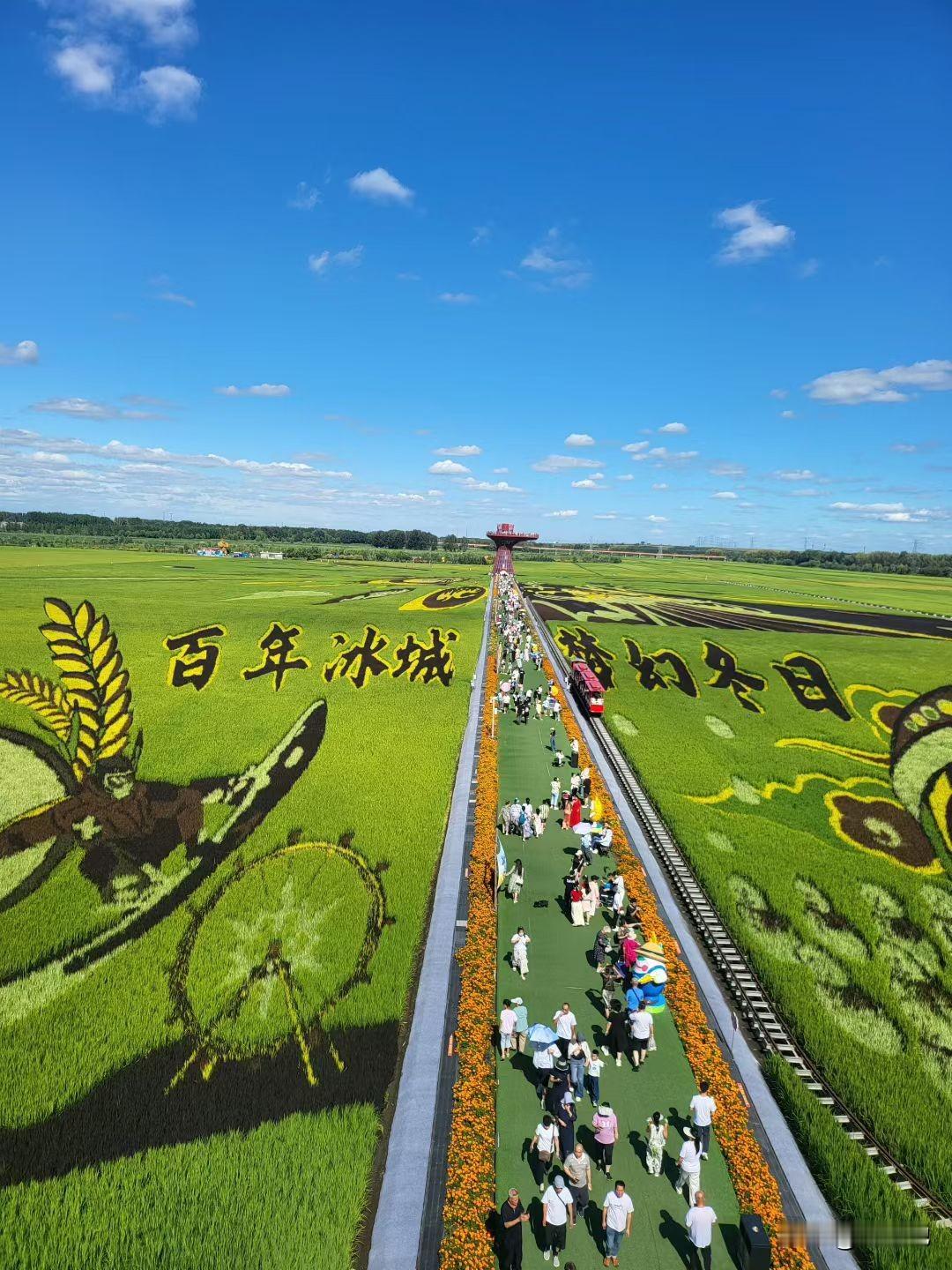 文旅项目是一个漫长的、需要持续投入的的项目，那些现打热闹，种植花花草草的旅游景区