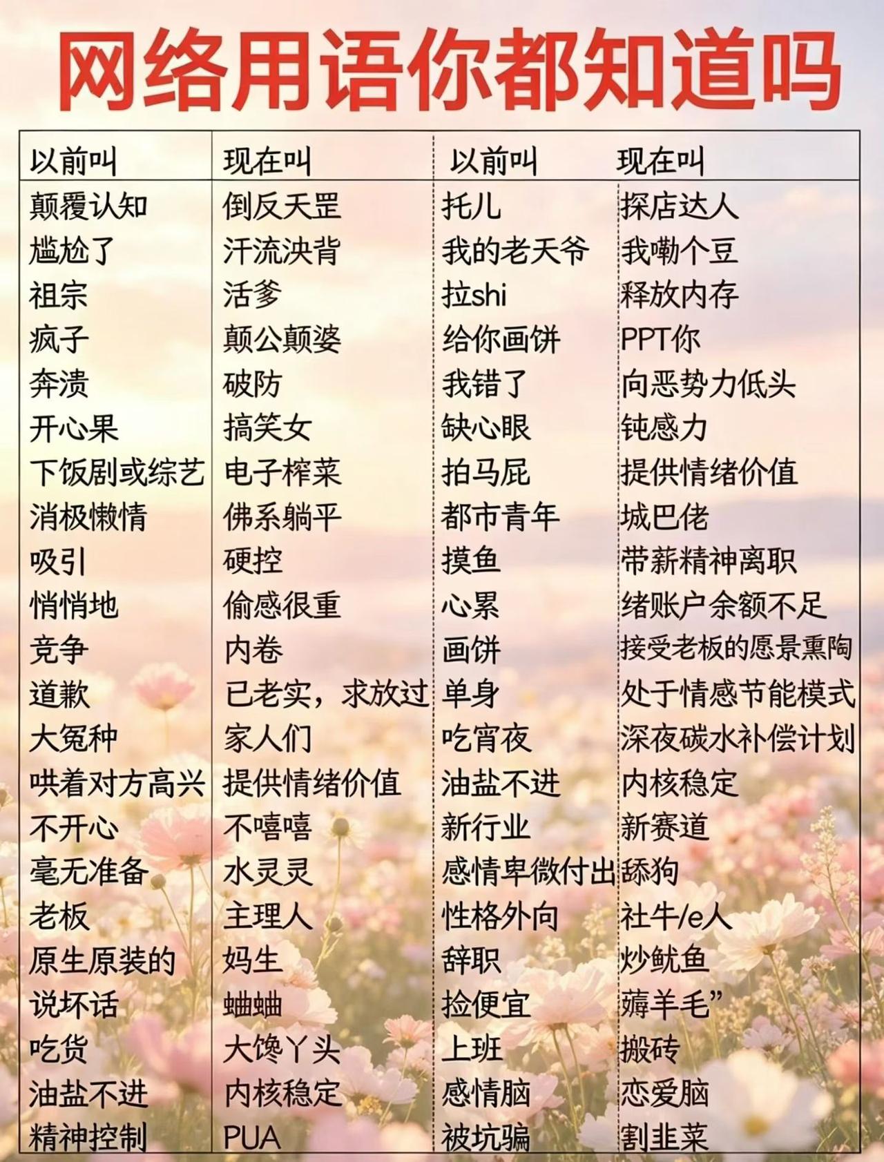 网络用语对照表生动呈现语言随时代的趣味演变。
新词以夸张、戏谑的方式重构日常表达