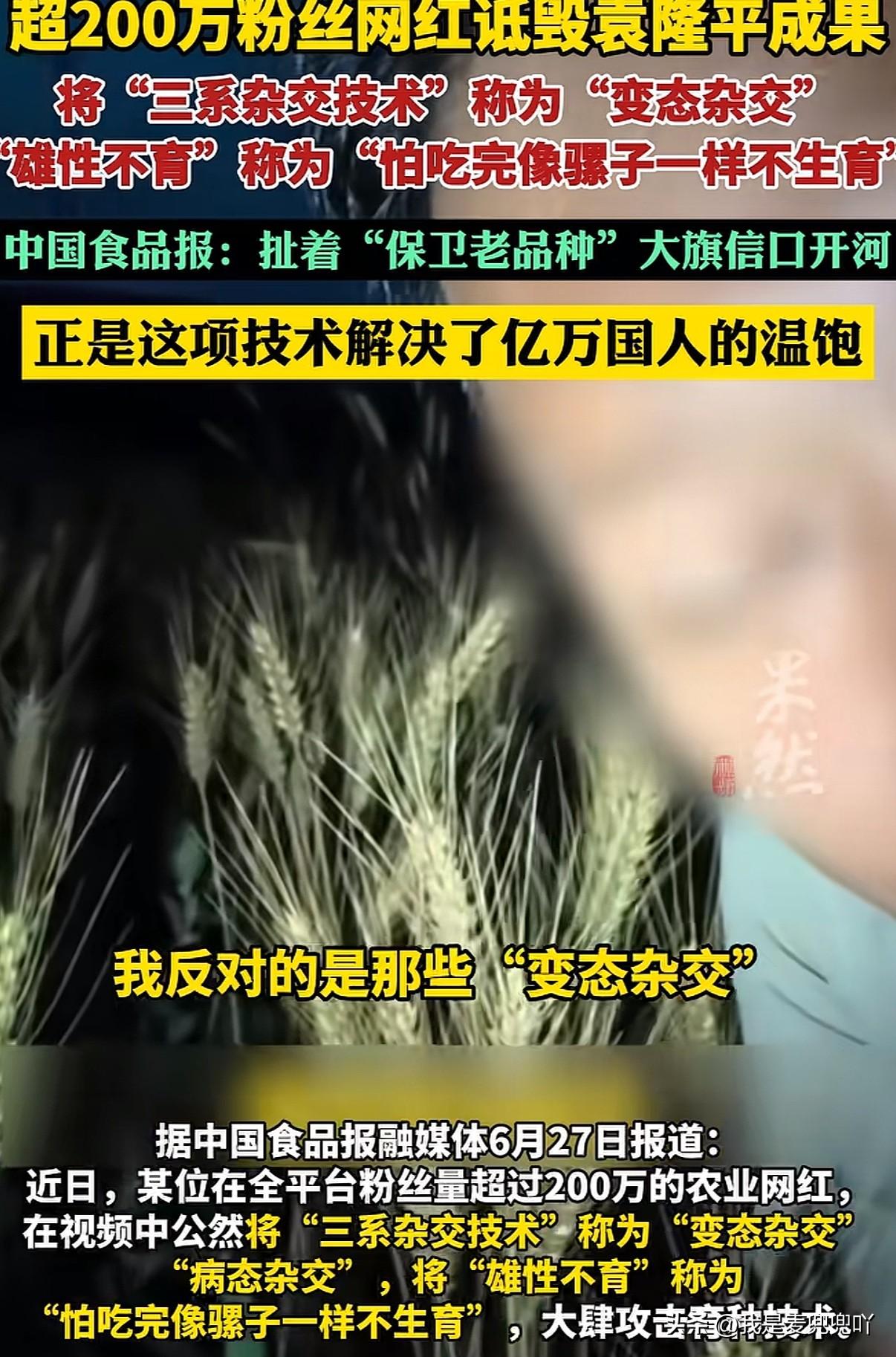 百万粉丝网红公开指责袁隆平三系杂交技术为“变态杂交”称种子杂交之后农民不能自己留