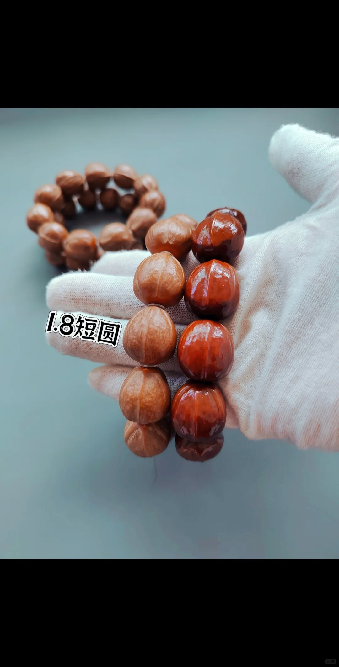 爆红短圆核铁头蛋子，580💰