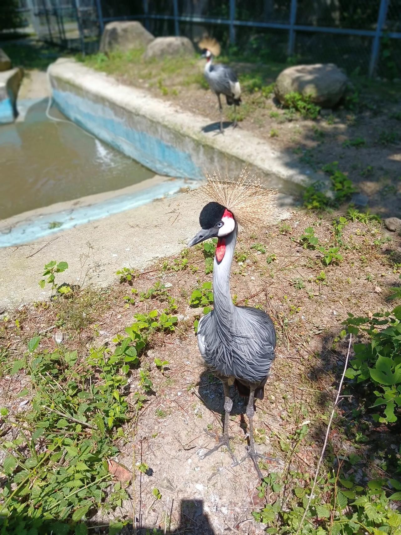 #一张图记录夏日生活#