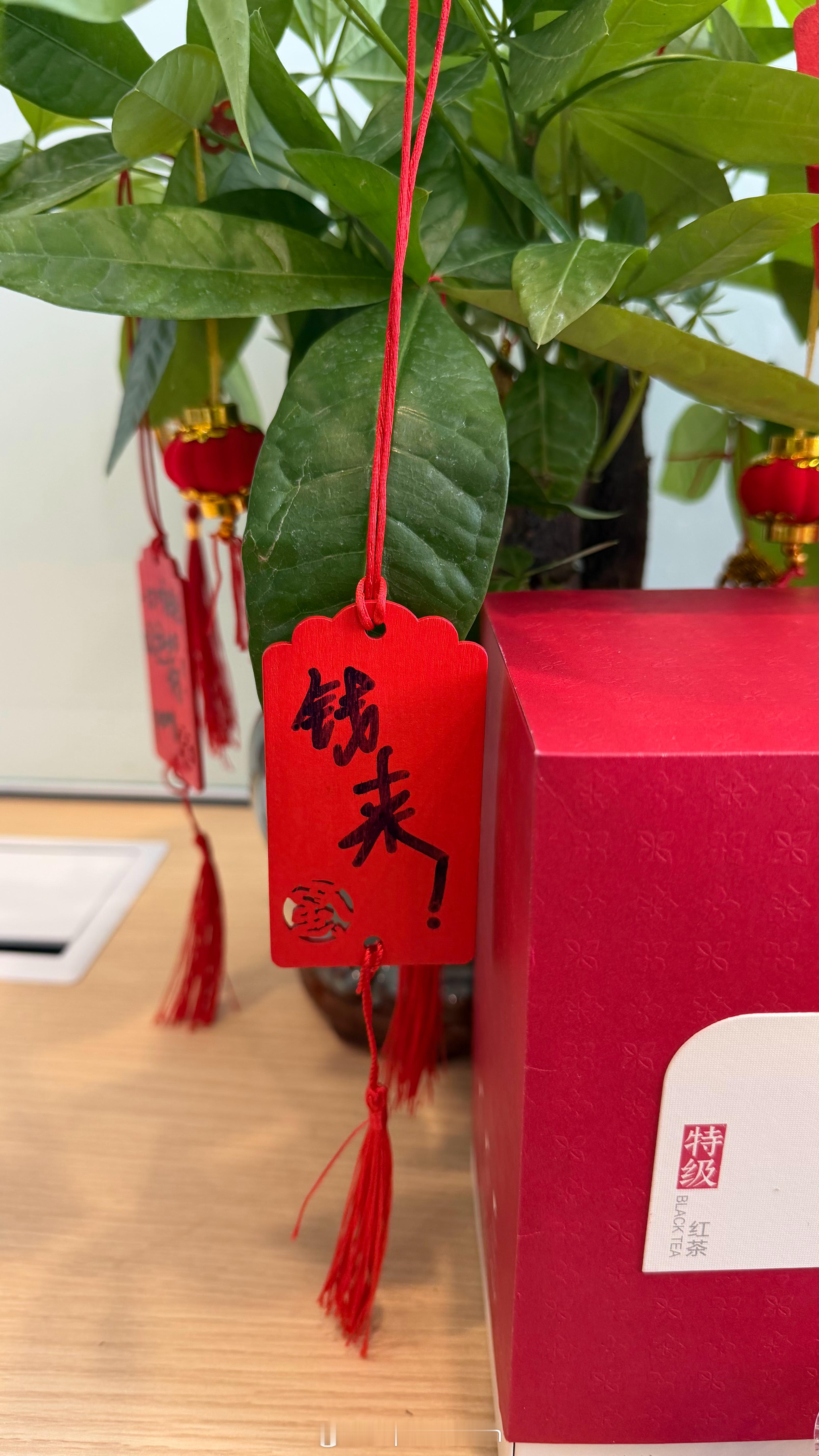 许了个朴素的愿望
