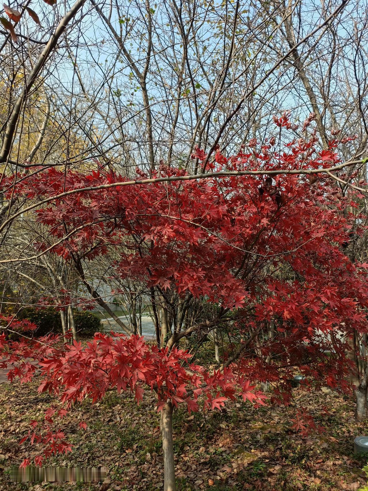 湖南有哪些好玩景点株洲湘江风光带国家水利风景区
