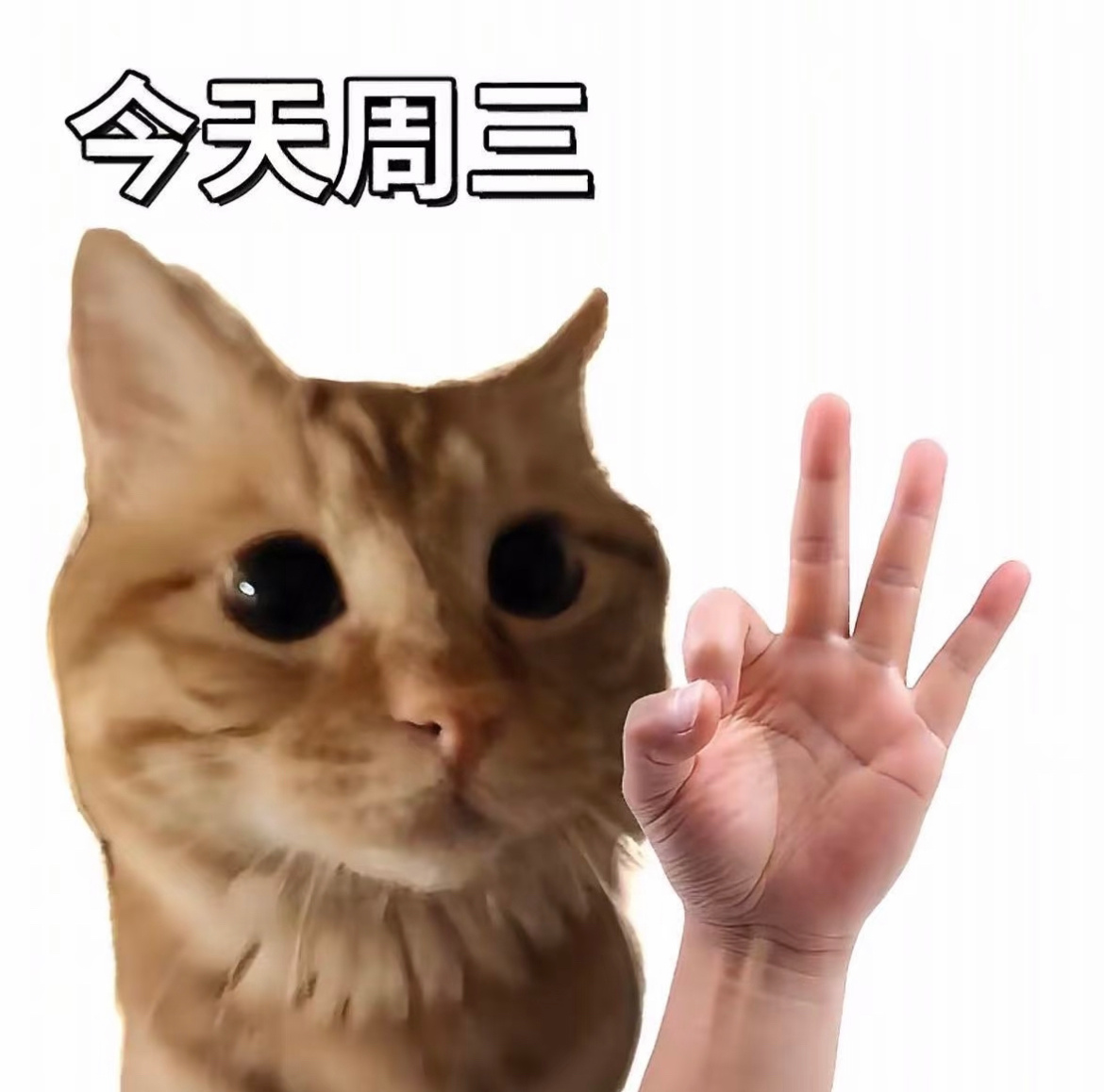 早上好家人们～感觉这周过得好快呀，再上一天班就放假咯卷妹的唠嗑早安