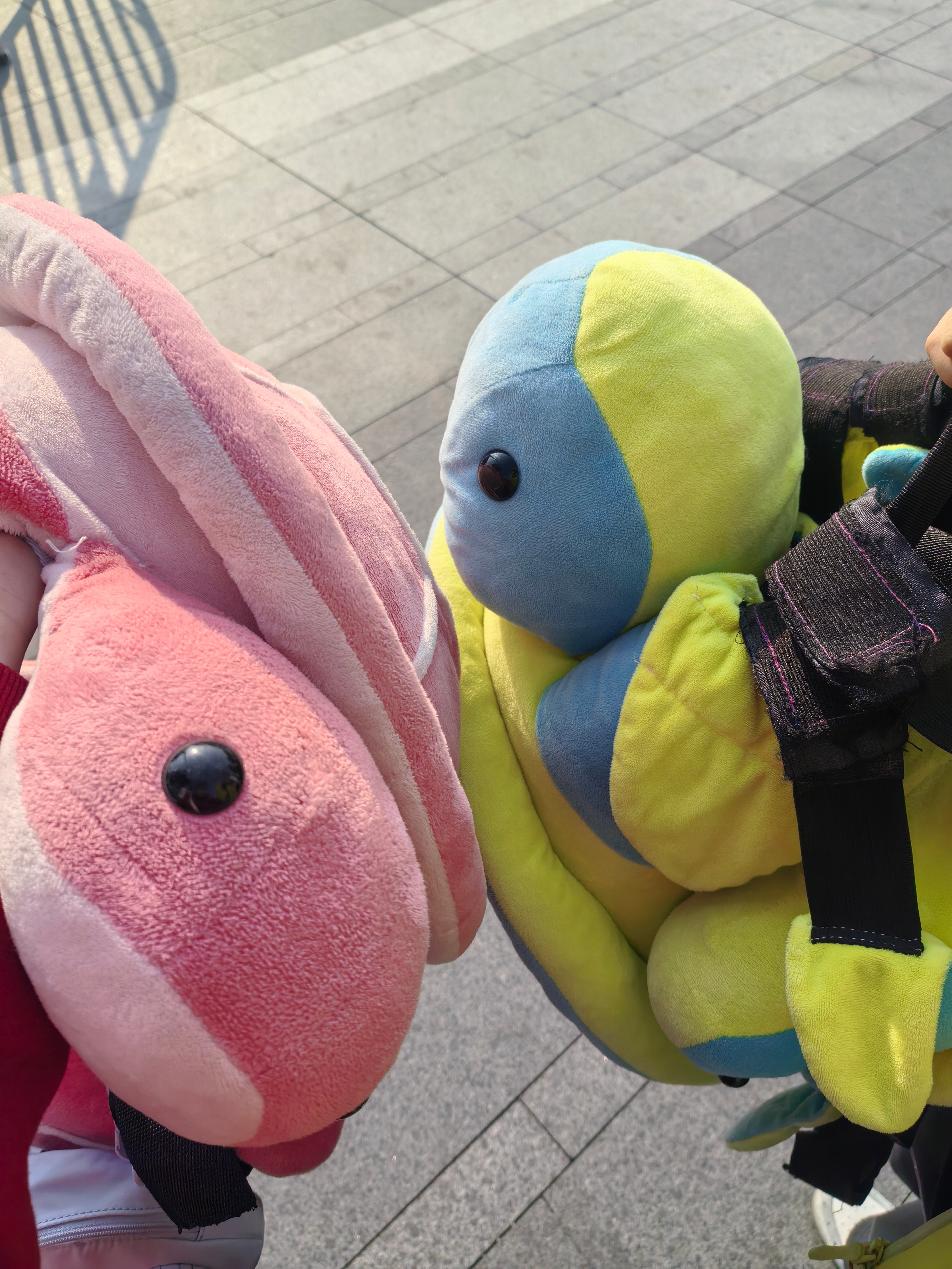 回归，有人想我没❤️说谎话自动领取我的乌龟暴击 