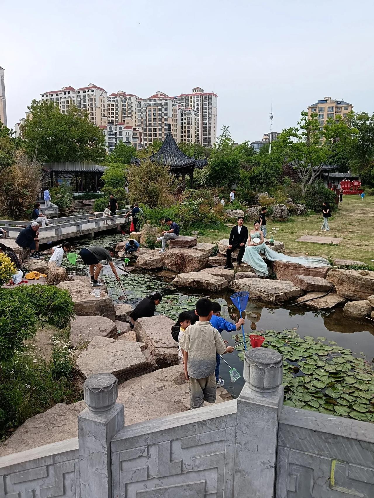 散步时随拍分享(商丘)