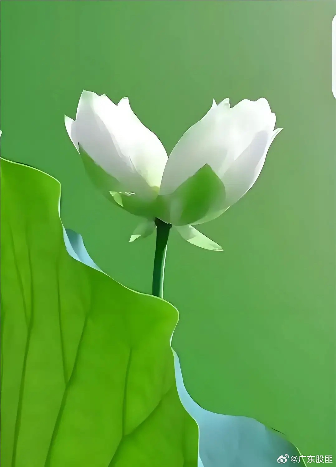 女人为了钱财，可以一丝不挂，男人为了钱财，可以败坏道德，心狠手辣，钱财可以让人腰