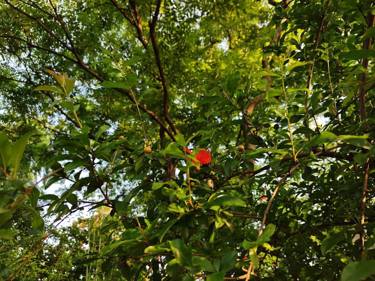 识时务者为俊杰，我认为每个人都应该看清形势，而不是单纯的“认命”和“不认命”。
