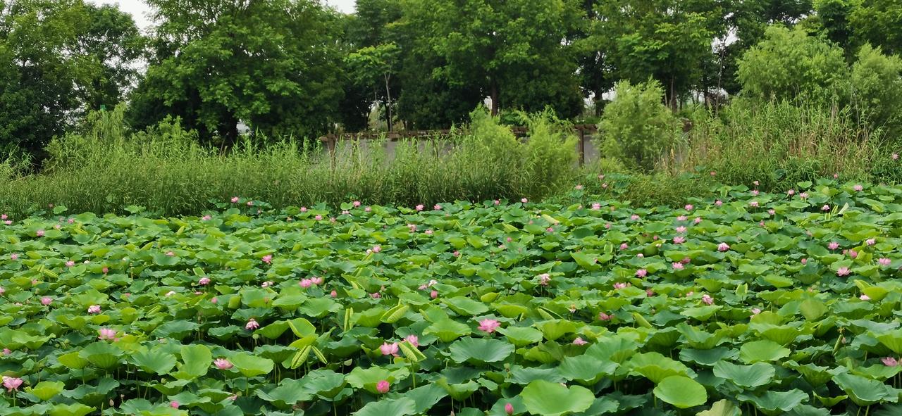 股市挣多亏少的炒股方法，简单容易操作。
但是，这个前提是挣不了大钱的，也不会亏大
