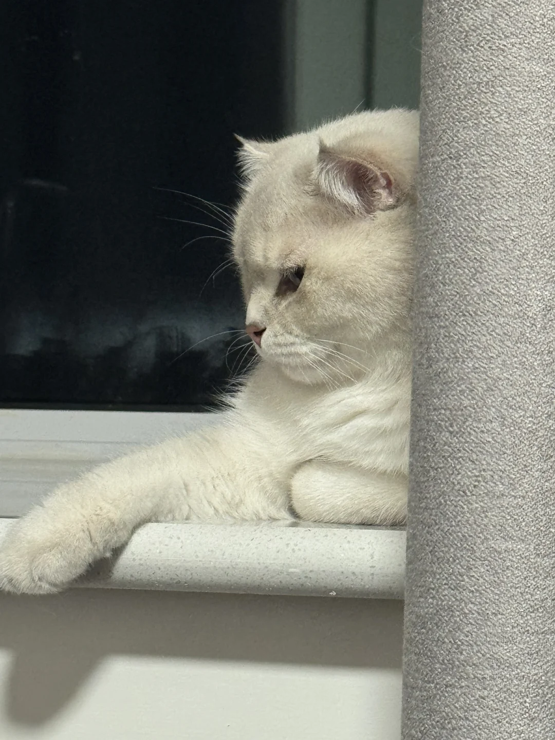 不是，家人们，它这眼神啥意思😅