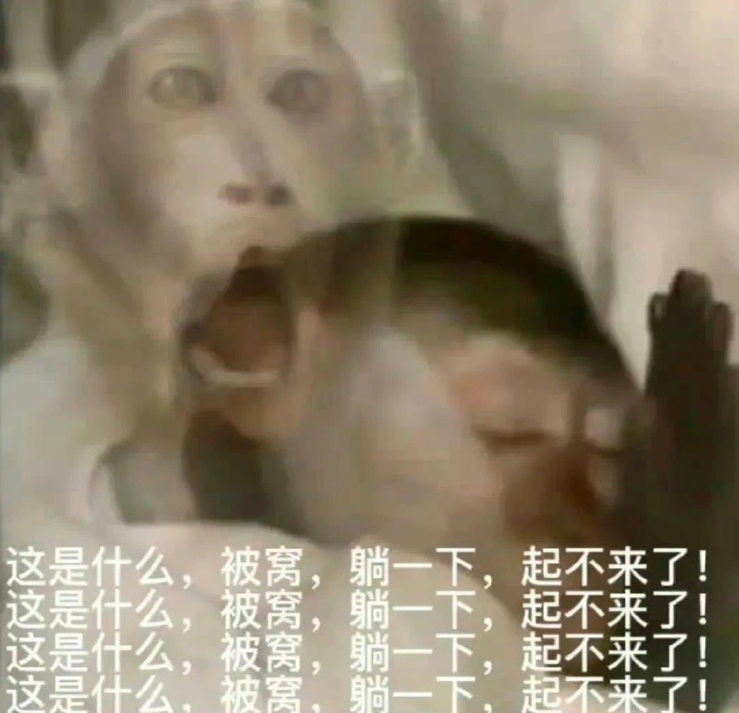 世界是个巨大的吗喽圈不是这 就是那咯 ​​​