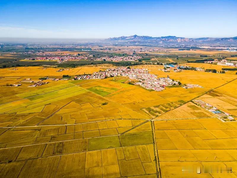 看到“春播千亩稻”这个上联，一下子就有了对下联的兴致。对联讲究前后呼应、对仗工整
