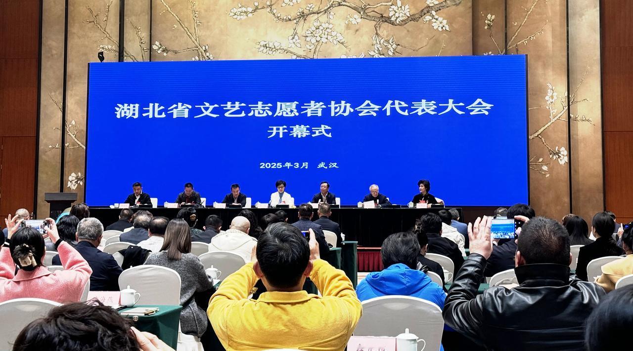 湖北省文艺志愿者协会代表大会开幕式今日盛启

2025 年 3 月 20 日，湖