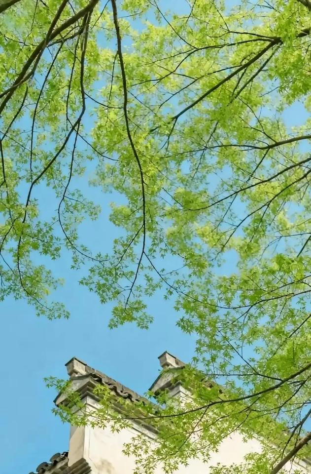 很多人一退休，就急着去广场舞、麻将桌扎堆，总觉得不社交就会被社会抛弃，结果反倒给